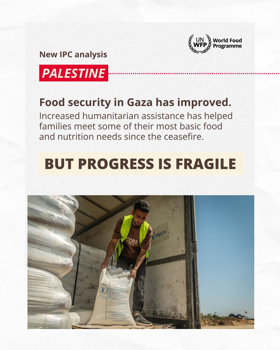 WFP's tweet photo. #Gaza: New analysis shows improvements in food security and child nutrition, but progress remains fragile.

1.4 million people still face acute food insecurity.

Humanitarian assistance is making a difference, but recovery remains out of reach for many families.