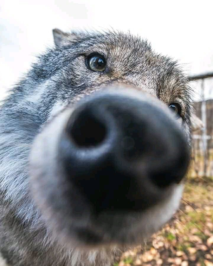 woofgonecrazy's tweet photo. got no cash sorry man https://t.co/MrQmvm1BkP