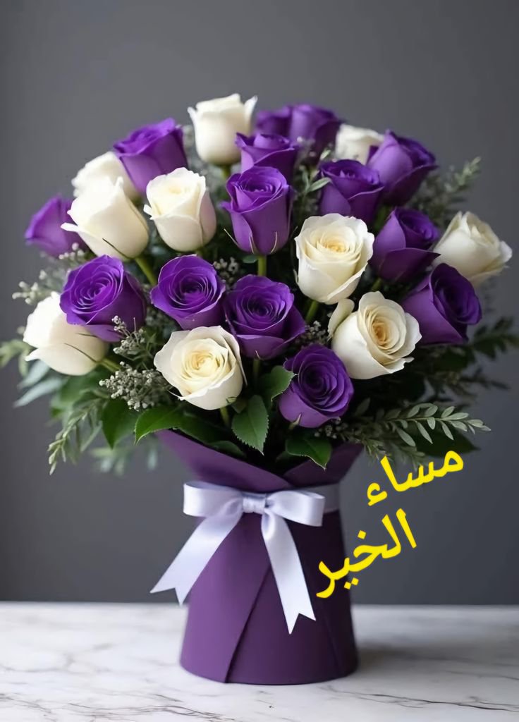 mashael0908's tweet photo. #مساء_الخـير للجميع وأسعد الله أوقاتكم اخواني واخواتي بمجموعة الخواطر تحياتي للجميع #مجموعة_الخواطر https://t.co/9221Y5SDc3