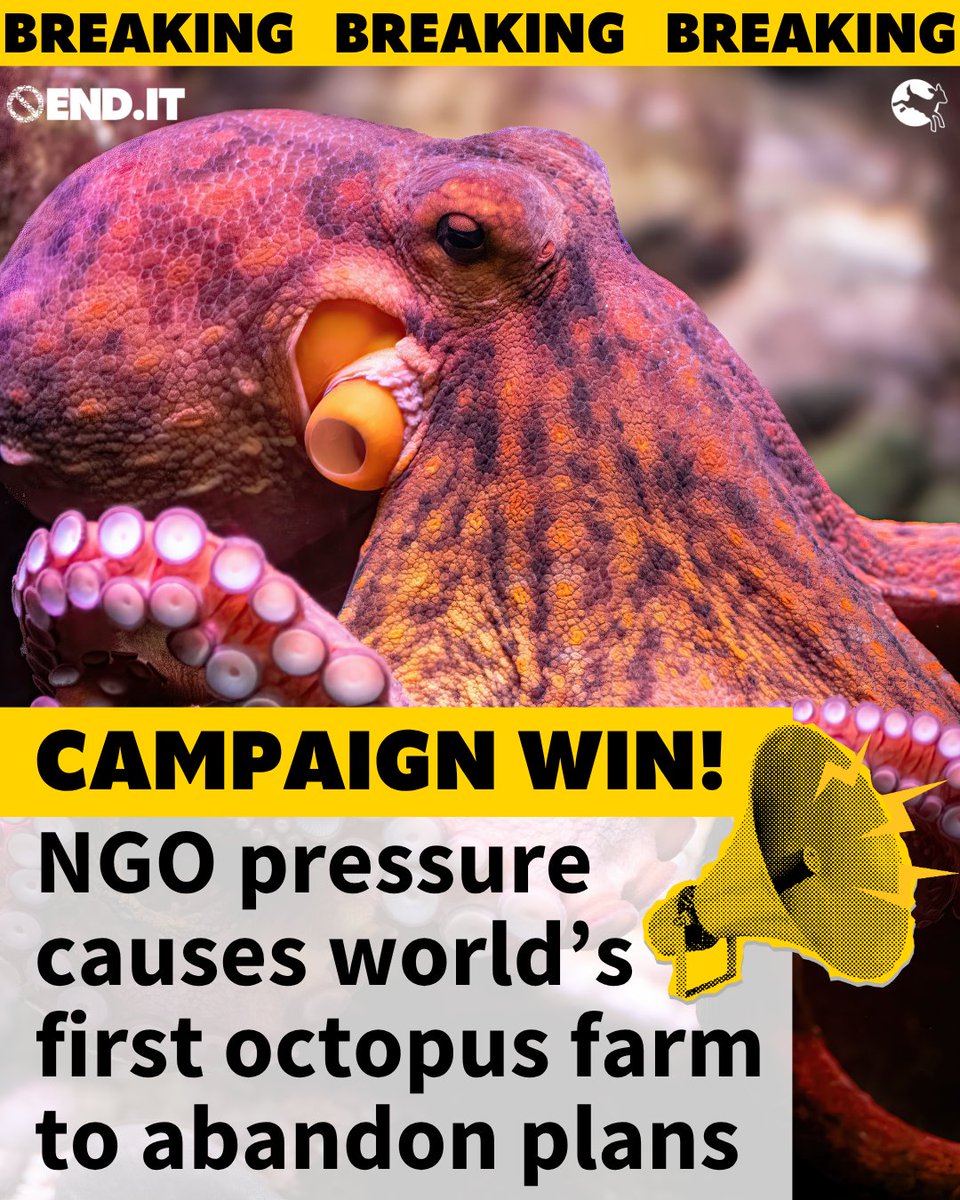 Compassion in World Farming UK tweet media
