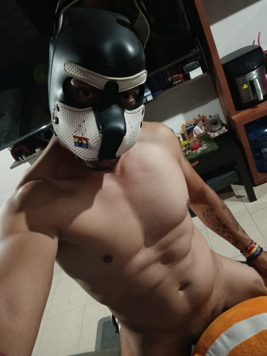 Thepupmike's tweet photo. Podemos hacer jugo de naranja si quieres, o tú puedes ser la naranja 😈🔥😏 🫵🏻 
#gaypup #puppyplay #humanpup #puppyplaycommunity #gay #gayboy https://t.co/WrstIZs3W0