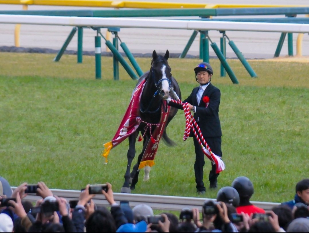 Dulast9's tweet photo. マスカレードボール
2025/02/16共同通信杯🥇
願掛け優勝レイシリーズ、今日は共同通信杯から

キングジョージまであと2️⃣日〜！！
馬番枠順、ともに4！
#1日1マスカレ https://t.co/2XN2Ge7Cdy