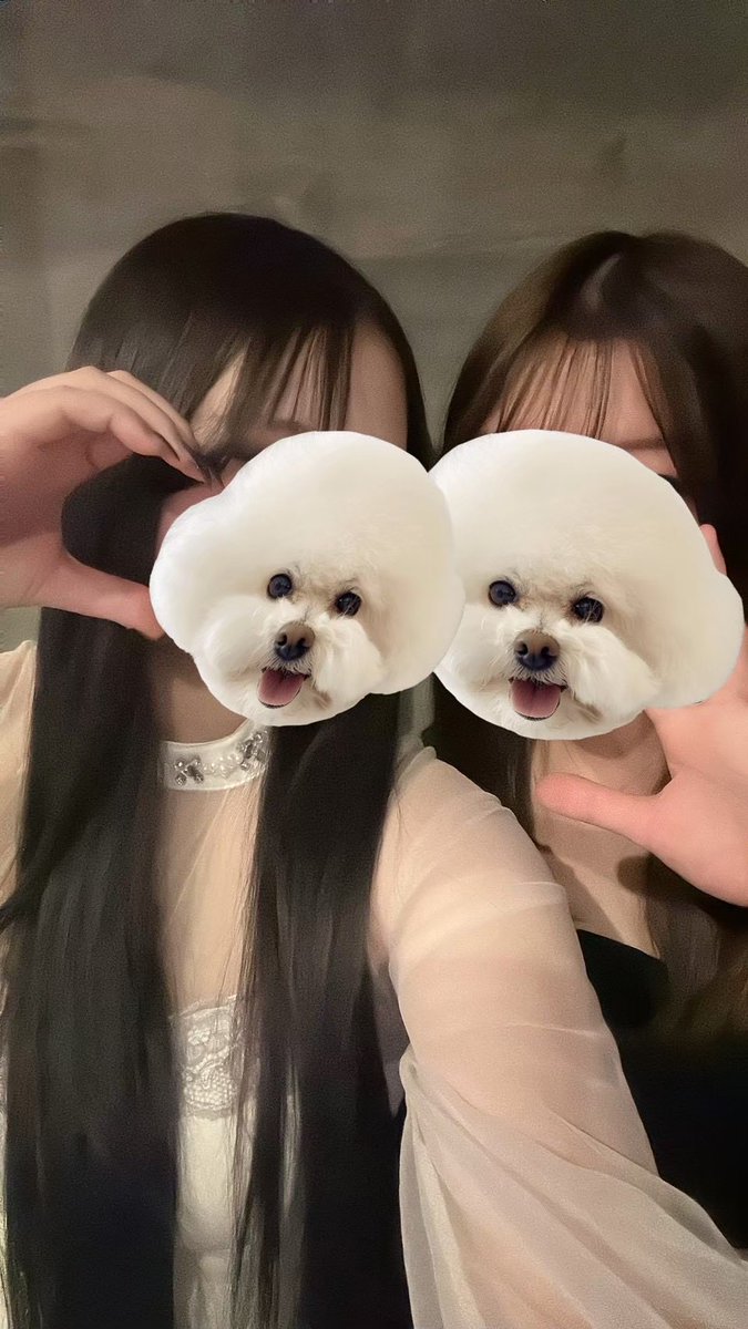 hiroshima_4105's tweet photo. 7月23日 出勤メンバー🎀

19:00 ことの

20:00 ありさ　ゆき

20:30 ぱる

21:00 さな　もえか

まってるねん🐰 https://t.co/cyyrXhpqfL