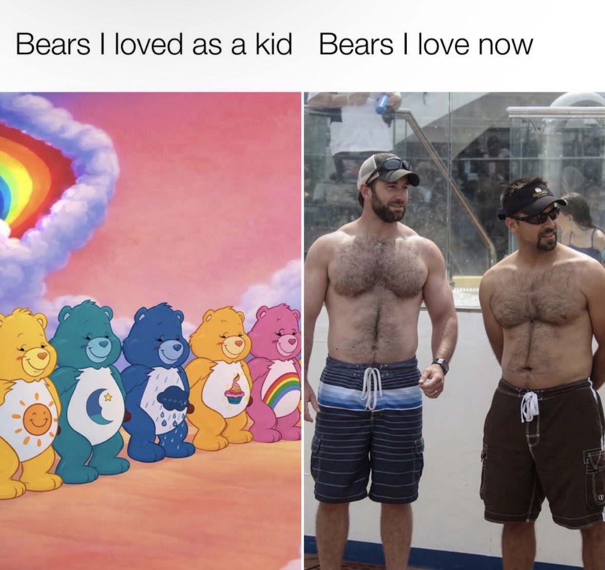 Iconicqueen748's tweet photo. Bears are a national treasure https://t.co/eidZCDcA4C