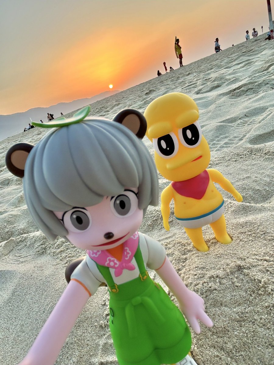 ソフビぽこピーと旅行さんの投稿メディア