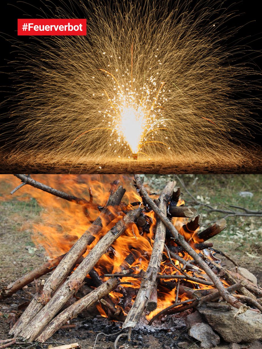 kanton_bern's tweet photo. Aufgrund der anhaltenden Trockenheit ist die Waldbrandgefahr im ganzen Kanton Bern «gross» (Stufe 4). Ab sofort gilt im gesamten Kantonsgebiet ein Feuerverbot in Wald und Waldesnähe sowie ein generelles Feuerwerksverbot. Mehr Informationen und Hinweise ➡️ https://t.co/ioqbkBMSCk https://t.co/TK43v21MkX