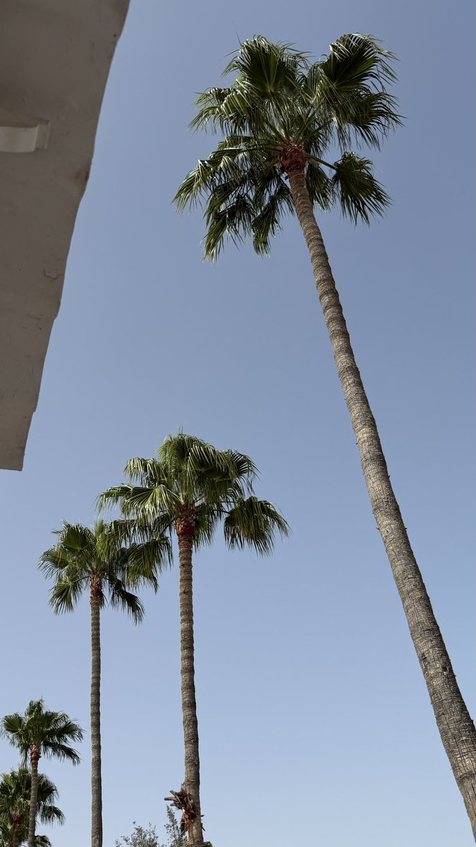 naomifndez's tweet photo. el verano en casa luce así https://t.co/HkSr01OmTk