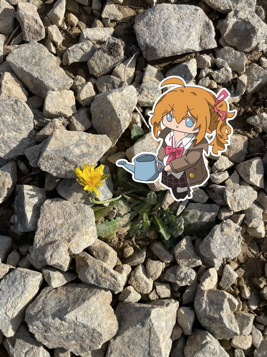 KalinyaNotes's tweet photo. #28  
water, nutrients and sunlight ☀️
#GirlsFrontline #GirlsFrontline2Exilium #少女前線 https://t.co/kxGWHw4Kyg