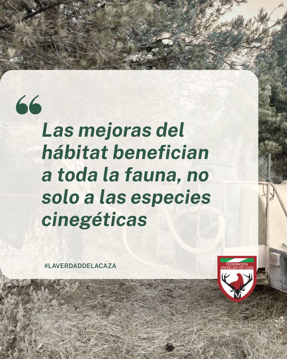 andaluciacaza's tweet photo. 💦🌾En ocasiones, una sola
frase basta para explicar una realidad que pasa
desapercibida para gran parte de la sociedad

📢Estas son algunas de las palabras que las
sociedades de cazadores nos han compartido a
través del Estudio de Mejoras de Hábitat: https://t.co/F3scaAZ75K