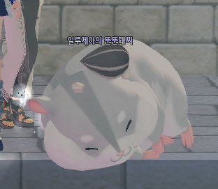illujea's tweet photo. 우리집햄쮝 https://t.co/eJuucdxJND