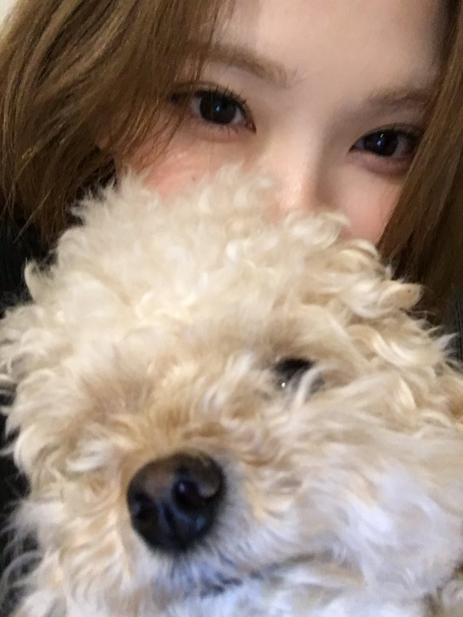 cherry_the_'s tweet photo. 260723 #지우 위버스 포스트

🐶🫶🏻 https://t.co/moY66gb1Cg