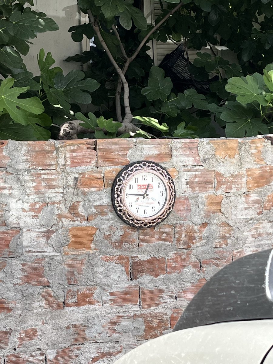 dksevindik's tweet photo. Levent çarşı da @VodafoneTR @VodafoneDestek 5G hızı ektedir. Artık sıkıldım seyretmeye çalıştığım reelsi seyretmeden instagramı kapadım… bakalım bu iletiyi göndermem ne kadar sürecek..? https://t.co/HrOjfWiL72