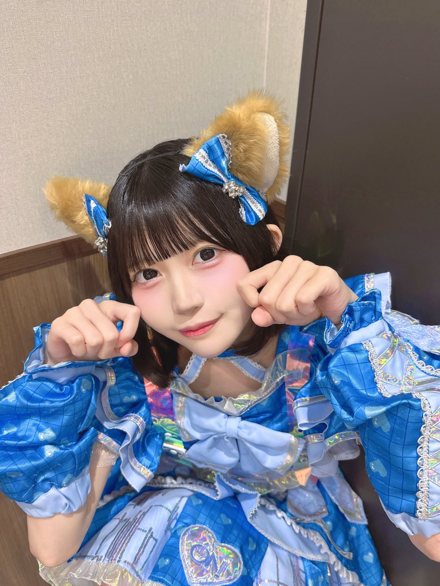 iON_menma_'s tweet photo. 犬派🐶❔猫派😾❔ https://t.co/EPFDiSuH4r
