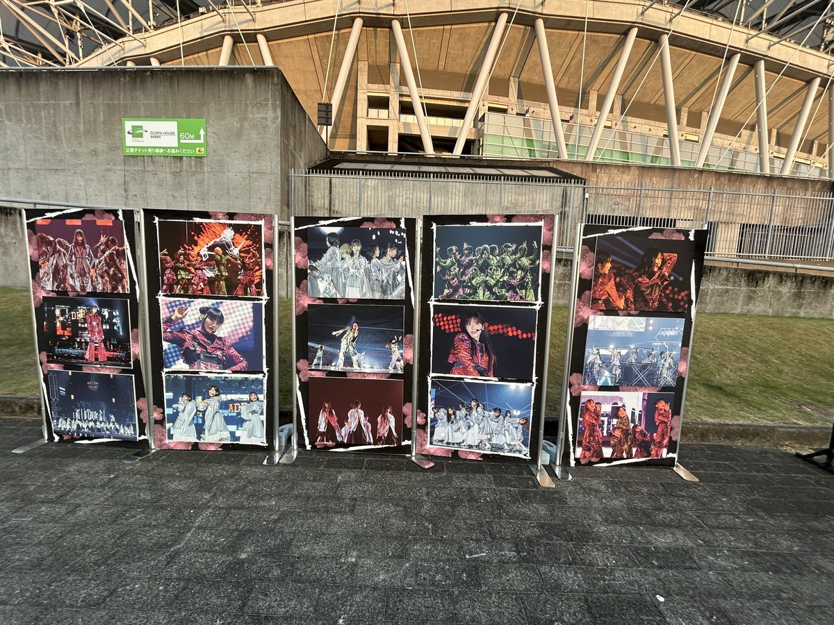 nera_0328's tweet photo. 始まるギリギリに来たら、

好きなだけ写真撮っててください！サインも写真撮りましょ！楽しんで！

ってスタッフさんに言われて神だった

#櫻坂46_whatslonesome https://t.co/CPqoxRcygv