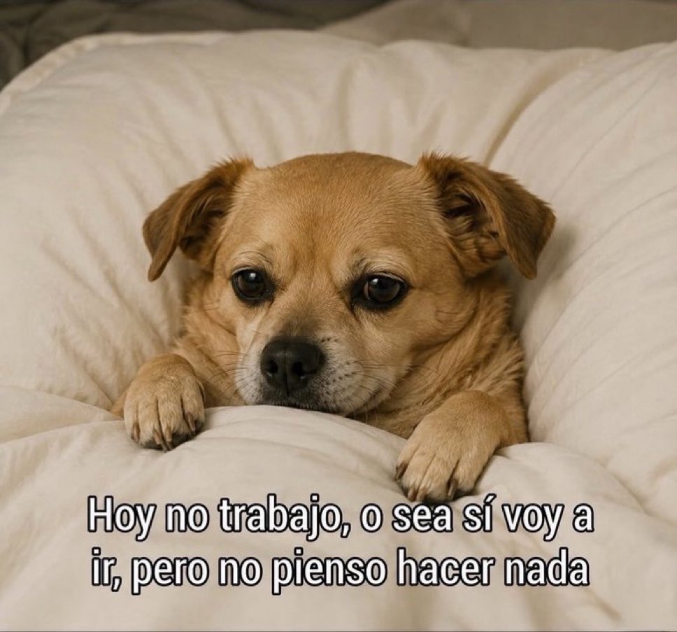 DaHomeInspector's tweet photo. Con poca motivación 😭😭🤣🤣 https://t.co/JHqMmFBtQi