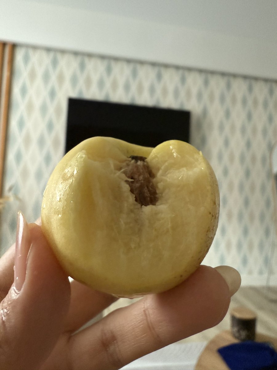 Ayyna__'s tweet photo. Мм вкуснятина😋🍑💛 https://t.co/wMF46O2E7L
