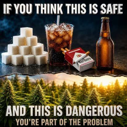 Norstackk's tweet photo. :>}_~#WakeNBake #StonerFam #StonerCircle #StonerNation #IAmCannabis #WeAreCannabis #FuckCancer #StayWoke &amp; ALL #STONERS ~HappyThursDazed~ https://t.co/0v5qBSew0H