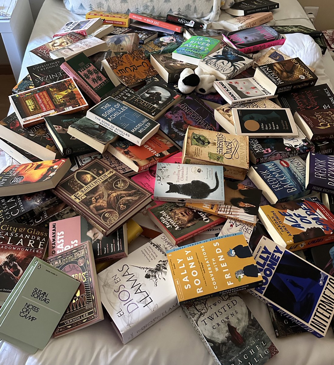 oliverstale's tweet photo. im a reader who reads books with letters on them i love reading #realreader and these are my books https://t.co/51zAxVIyB1
