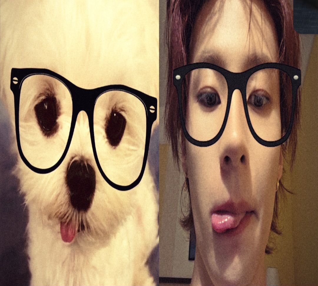 appletonni's tweet photo. mi cachorrinho él se hace sus propios edits❤️‍🩹 https://t.co/kDcOmixH6Z