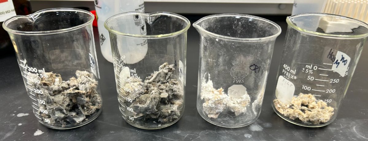 CBPLSSAC's tweet photo. 💭 Think you know all the hiding spots? Think again! @CBP Laboratories uncover #Meth in paint and #Fentanyl in furniture—revealing every trick smugglers try. 🔬 Making the invisible visible is our job! #ScienceInAction #DrugSmuggling #CBPOpsSpprt https://t.co/5fDvUCTCOM