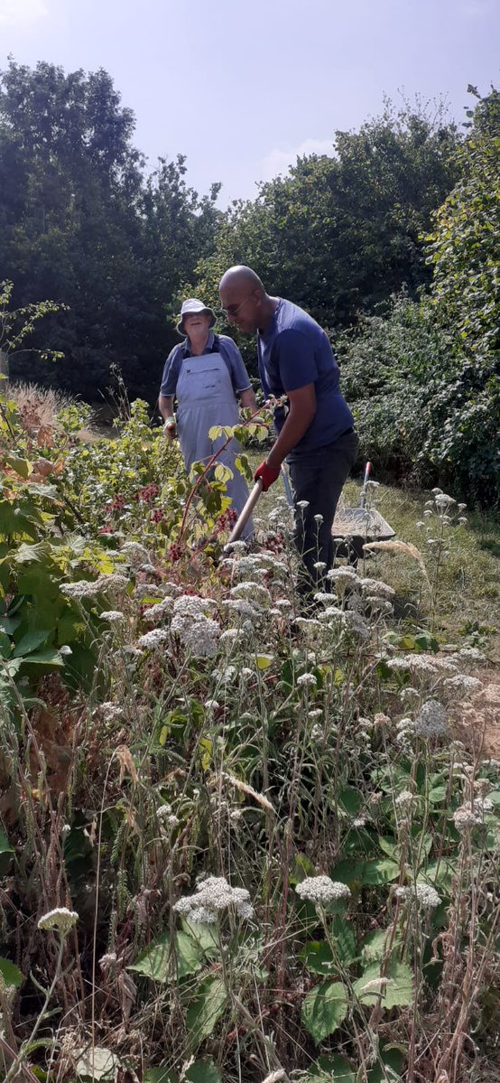 fruitnutvillage's tweet photo. A morning at #SouthernDriveForestGarden #DruidsHeath. Beautiful weather for it too. https://t.co/k93L0T4xJh