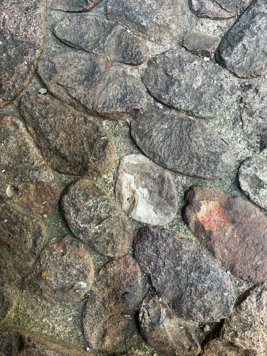 PalauGuell's tweet photo. 🏛 Un Palau, mil textures i un milió de colors
🤩 Teniu un espai preferit dins de l'edifici? A nosaltres ens resulta impossible decidir quin detall escolliríem per decorar els nostres somnis més feliços.
@dibacat @culturadiba @anygaudi2026 #palaugüell #wonderfulthings https://t.co/65Y4Pubzc3