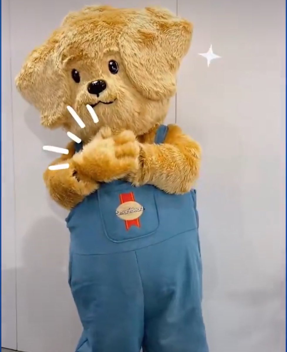 MrKim_DY's tweet photo. อยากเห็น PROXIE มาในลุค 'แก๊งน้องหมา 6 สไตล์ (Puppy Cosplay)' ใส่ที่คาดผมหูน้องหมา ดิกหางดุ๊กดิ๊กตามบุคลิกของแต่ละคน คอสตูม & คาแรกเตอร์ประจำตัว 6 หนุ่ม (6 Breeds Style) #SmartHeartxPROXIE
แต่ใดใด ทุกคนต้องใส่ชุดเอี้ยมแบบนี้
1.กัน (GUN) – ลุค 'โกลเด้น รีทรีฟเวอร์' (Golden Retriever)
• สไตล์: หนุ่มโกลเด้นตัวโตแสนอบอุ่น สดใส รอยยิ้มละลายใจ
• คอสตูม: เสื้อไหมพรมแขนยาว/เสื้อกั๊กสีน้ำตาลอ่อนนุ่มฟู หูโกลเด้นลูบตกรอบหัว พร้อมกิมมิคคาบจานร่อนหรือกระดูกยาง
2.คิม (KIM) – ลุค 'ไซบีเรียน ฮัสกี' (Siberian Husky)
• สไตล์: หนุ่มหล่อเท่ หน้านิ่งแต่กวนนิดๆ มีความดื้อเงียบแสนเสน่ห์
• คอสตูม: โทนสีเทา-ขาว แจ็กเก็ตเท่ๆ หูแหลมชี้แบบฮัสกี มีกิมมิคติดพลาสเตอร์ยาสุดชิคที่สันจมูก
3.โชกุน (CHOGUN) – ลุค 'ชิบะ อินุ' (Shiba Inu)
• สไตล์: หนุ่มชิบะหน้าเป็น ยิ้มตาหยี ขี้เล่น สดใสเอนเนอร์จี้เต็มร้อย
• คอสตูม: ชุดโทนสีส้มอิฐ-ขาว หูชิบะสามเหลี่ยมดุ๊กดิ๊ก พร้อมหางม้วนสั้นๆ ดิกหางตลอดเวลา
4.กร (GORN) – ลุค 'พุดเดิ้ลทอย' (Toy Poodle)
• สไตล์: หนุ่มน้อยคุณชาย ละมุน น่ารัก ขนฟูน่าทะนุถนอม
• คอสตูม: เสื้อคาดิแกนสีครีมผูกโบว์น่ารัก หูพุดเดิ้ลขนนุ่มฟูสีน้ำตาลดัดลอน สวมปลอกคอมีกระดิ่งกรุ๊งกริ๊ง
5.อองรี (ONGLEE) – ลุค 'ปอมเมอเรเนียน' (Pomeranian)
• สไตล์: เจ้าปอมตัวจิ๋ว พลังเยอะ ขี้อ้อน และมีความเป็นเอนเตอร์เทนเนอร์สูง
• คอสตูม: เสื้อฮู้ดสีส้มพาสเทลตัวใหญ่ป๊อปๆ หูปอมกลมๆ น่ารัก พร้อมเอฟเฟกต์ติดกิ๊บรูปอุ้งเท้าหมา
6.วิคเตอร์ (VICTOR) – ลุค 'บีเกิล' (Beagle)
• สไตล์: หนุ่มหูยาวแสนซน ชอบสำรวจ กระตือรือร้นและอารมณ์ดีตลอดเวลา
• คอสตูม: ชุดสตรีทลำลองโทนสีสามสี (White-Brown-Black) หูบีเกิลพับยาวลงมาข้างแก้ม สวมเป้ใบเล็กทรงซองอาหาร SmartHeart มาเต้นต้อนรับแฟนๆ น่ารักจนใจเจ็บ แถมสดใสคูณสิบแน่นอนครับ! 🐾✨