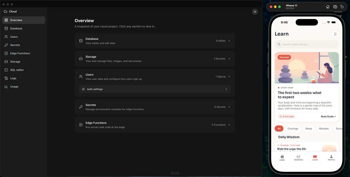 Superapp Cloud on the left, the real app running on the right.