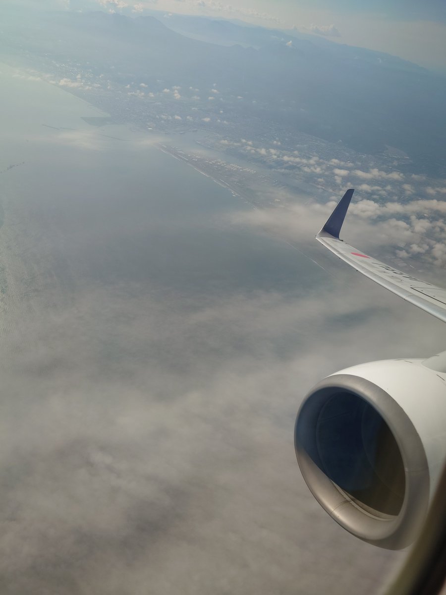 haregasukii's tweet photo. 広島の祖母に曾孫の顔を見せに行きます✈️ https://t.co/f7jLYkExSz