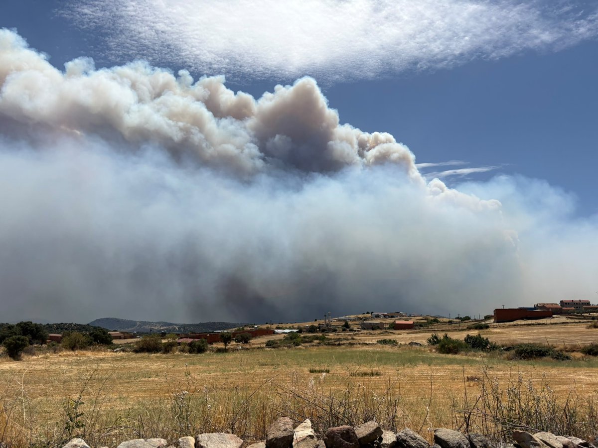 Meteoavila2's tweet photo. ⏰14:40h 🔥 #IFBurgohondo
😔 No me gusta nada pero nada estás imágenes. Las condiciones convectivas pueden originar la formación de un pirocumulo y eso sí que ya lo hace muy complicado de trabajar en el.

📸 Desde El Barraco. Mucho humo. https://t.co/TRQouScbLO
