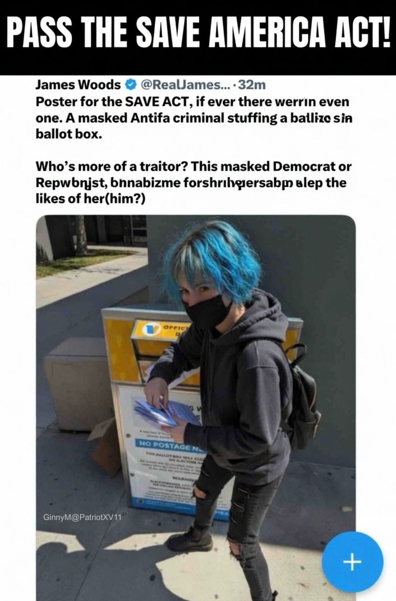 GinnyM tweet media