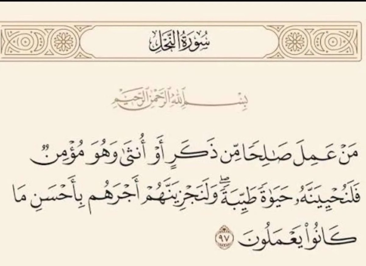 Hanan_htn's tweet photo. ♥️🕊️ https://t.co/c97eFGVWJ4