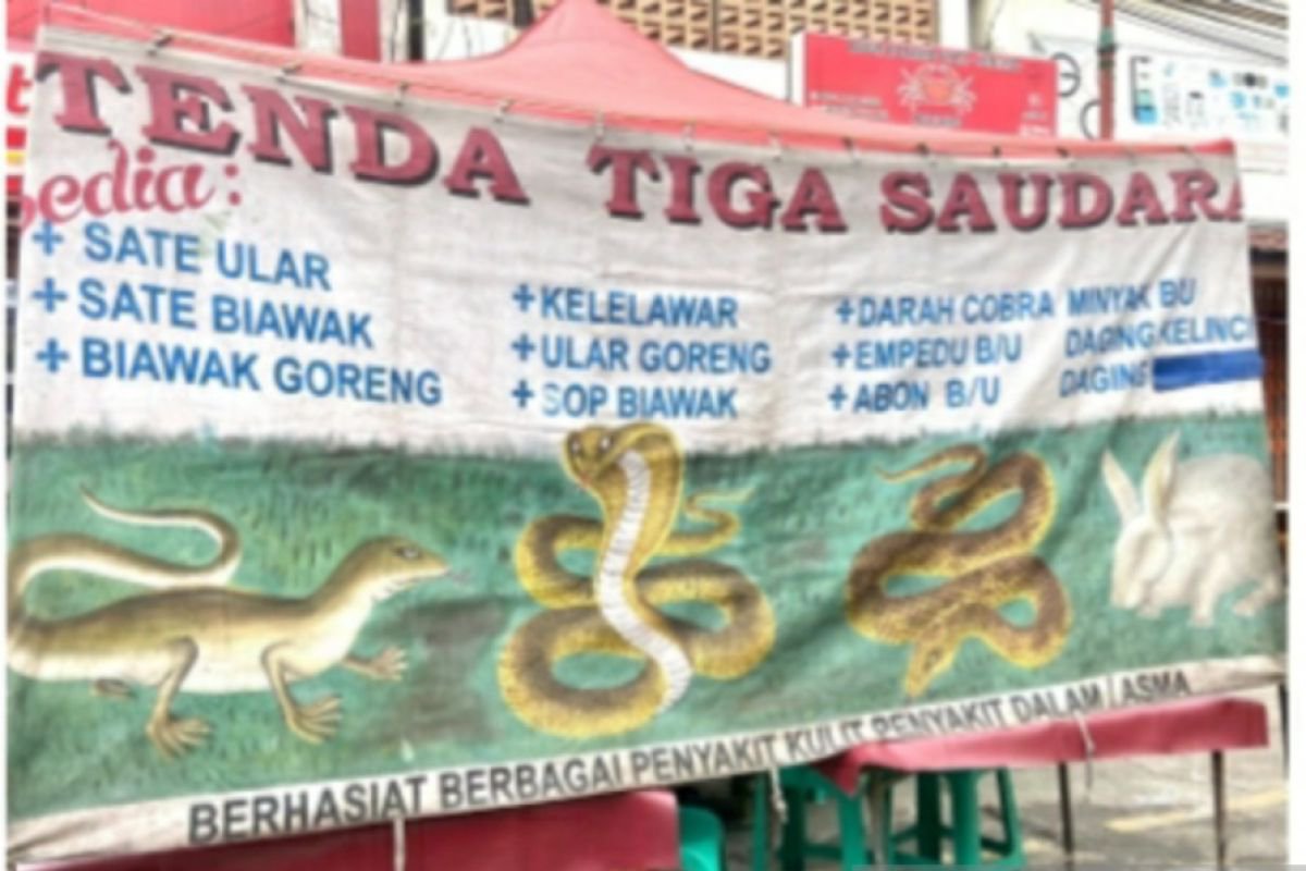 HeartsOmega's tweet photo. Maybe ular Snake ngilangnya ke sini. https://t.co/mVuuGpsfT1