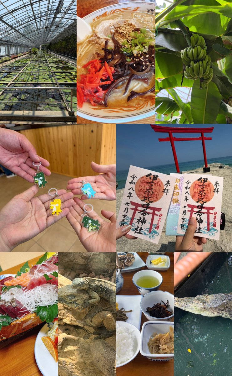 setunachSwitch2's tweet photo. めちゃくちゃ楽しい旅行でした✈️ https://t.co/SABNR14Af6