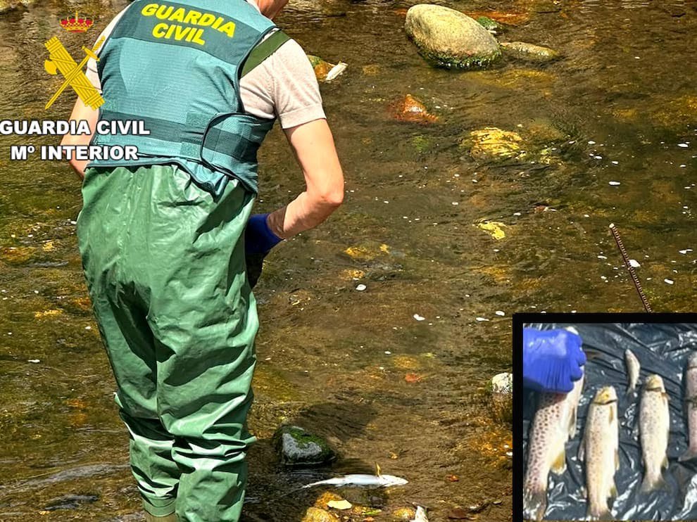 rafamerdel's tweet photo. «El ganadero, de la localidad de Saro (#Cantabria), tenía una red de tuberías ocultas bajo tierra que conectaba su estercolero con un arroyo que desemboca en el río Llerana y, después, en el Pisueña».

Esto para cuándo escuchéis que está gentuza se preocupa por el medio ambiente. https://t.co/FlFTwI9Mt6
