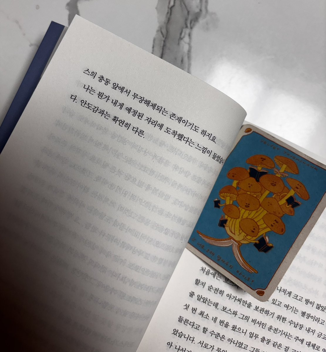 ddyooo0n's tweet photo. <절창> 읽는 타래

구병모 작가님 소설 중학교때 이후로 처음이에요, 기대가 돼. https://t.co/EDiR5G1Fqa