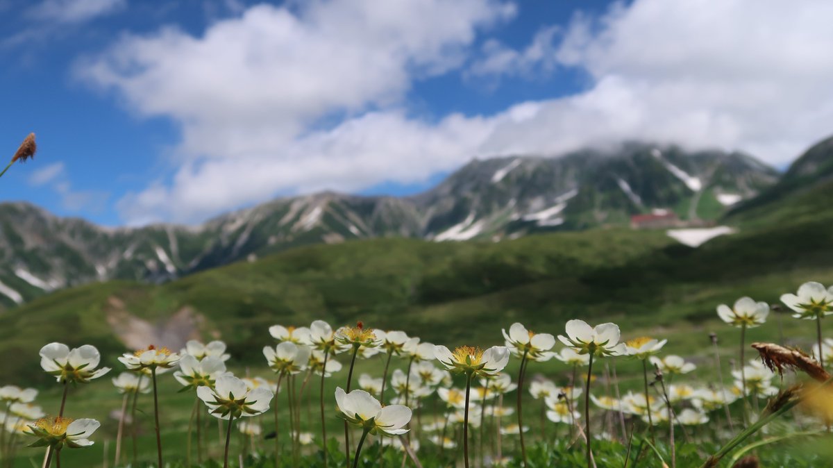 Bs213817's tweet photo. 立山美しい
お天気が良くてヘリがあっちこっちの小屋へ何往復もしてました https://t.co/7W5cjyGilx