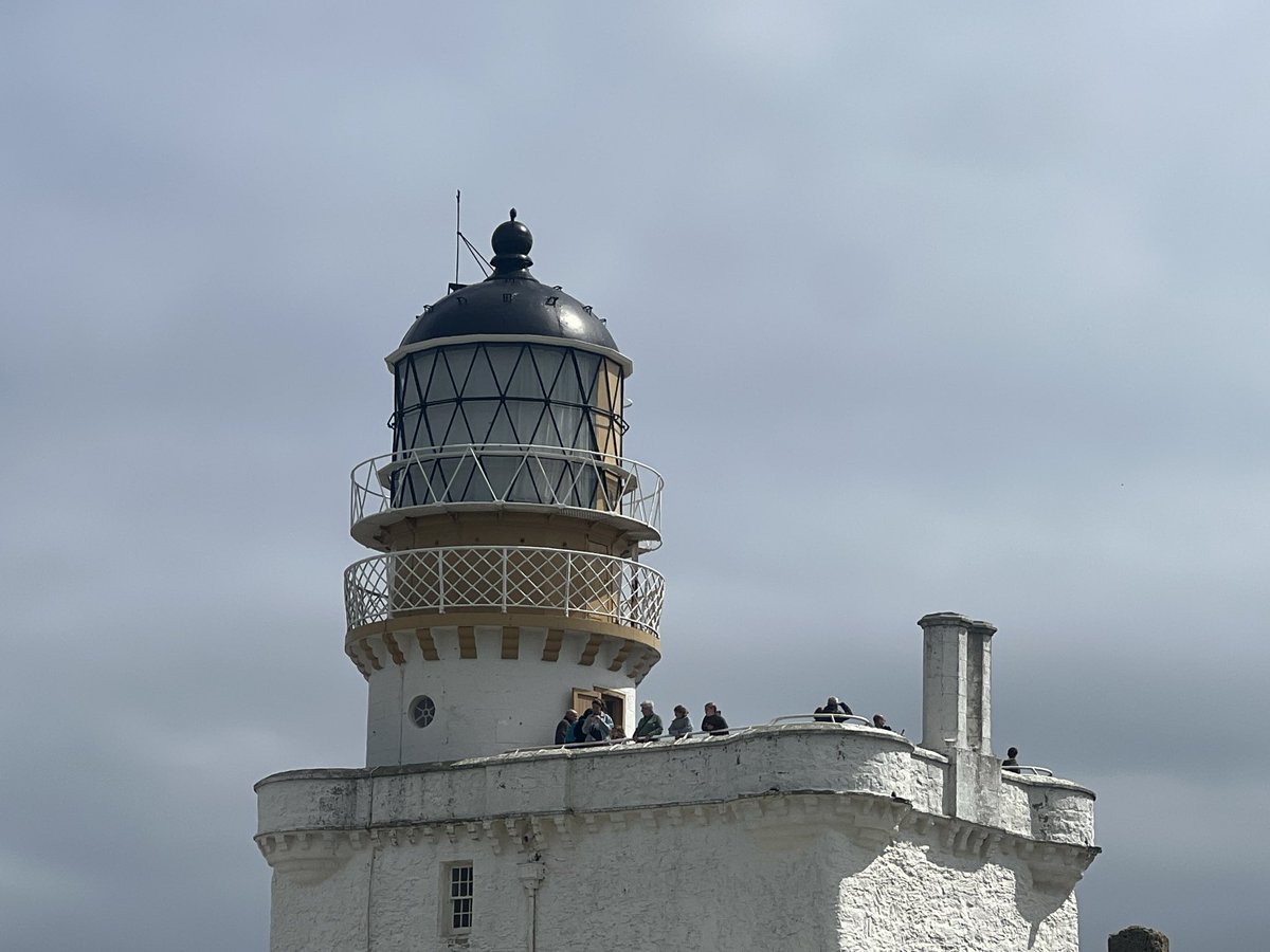 LighthouseMus tweet picture