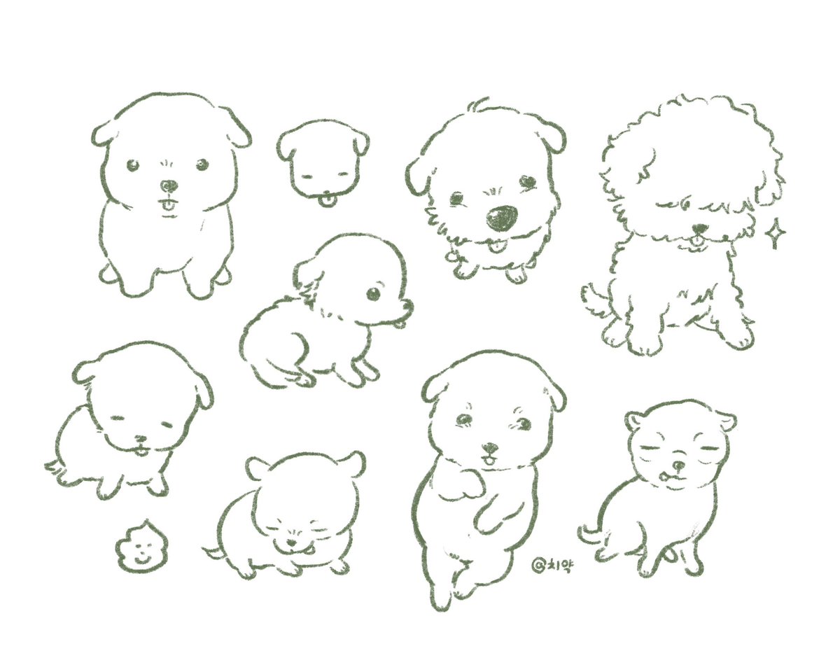chiikax2's tweet photo. 메롱 강아지 모음 https://t.co/QKbExHU8je