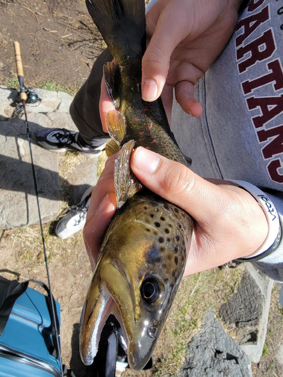 twdtre's tweet photo. Workout and fishing https://t.co/YOscZneUjh
