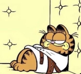 lukewarm_garf's tweet photo. @yakishiri 👀 https://t.co/CVWqMPqdaS