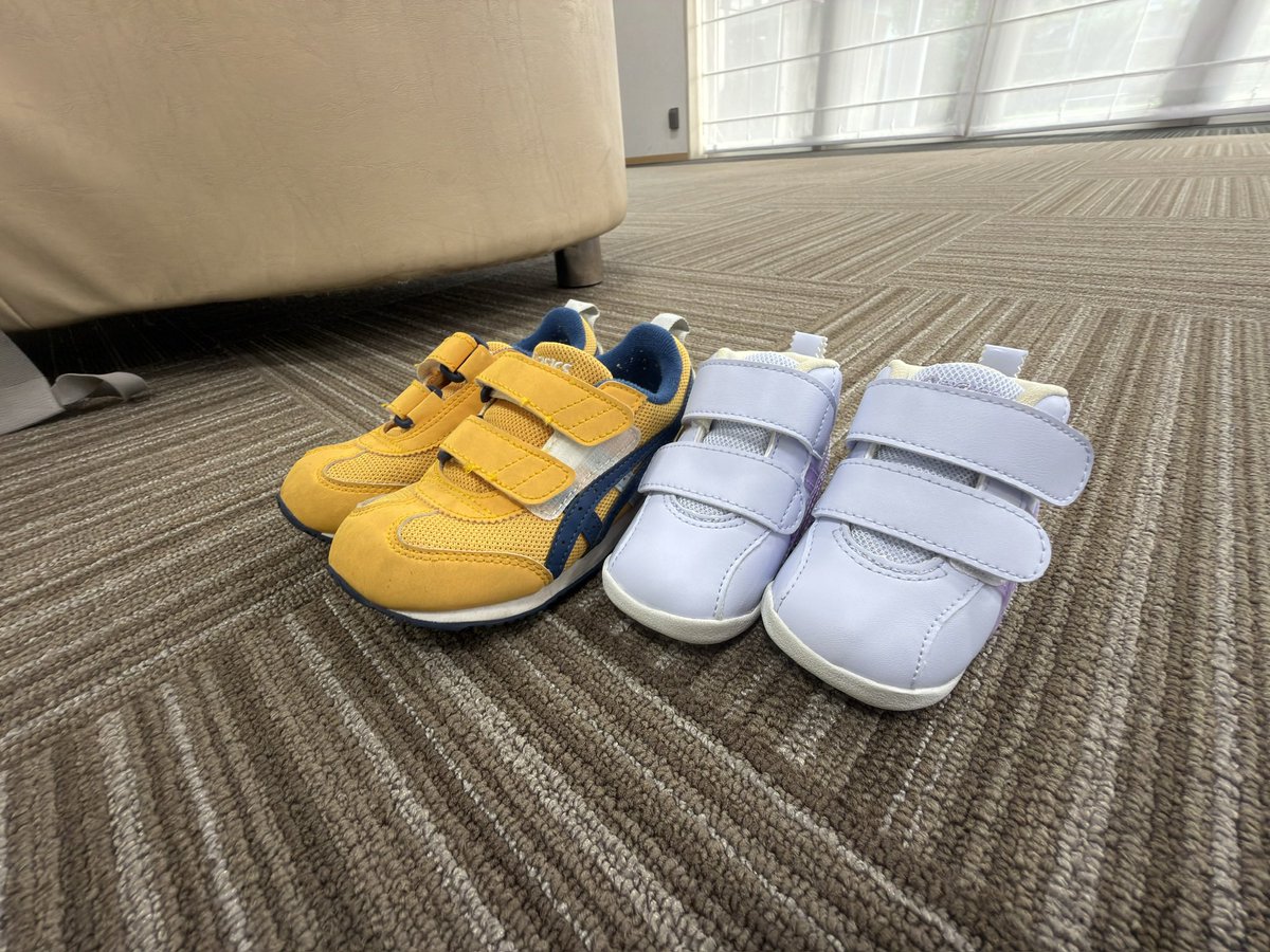 ponzuumw's tweet photo. サイズかわいいから並べた https://t.co/OmqR9nUDeS