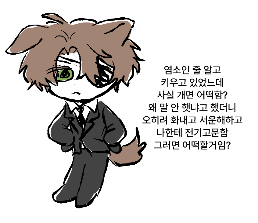 치커리 tweet media