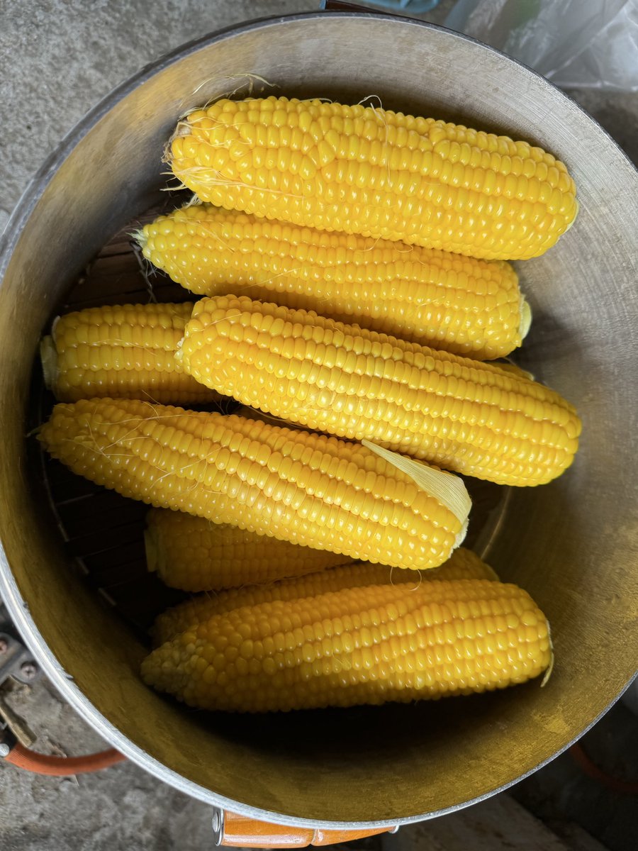 fN6eGSOCJD9015's tweet photo. そろそろ忍野のもろこし🌽シーズンかな？😊
毎年の我が家の行事！
今年から親がいなくなったから100あればいいかな？
キムチ、豆腐、水汲みして久しぶりに富士山撮ってこよっと！やっぱ平野かな？🤔
ミルクランドのソフト食べて牛乳買ってこなくちゃ〜😊

ひとり言でした🙇‍♂️ https://t.co/3RDXleUDVd