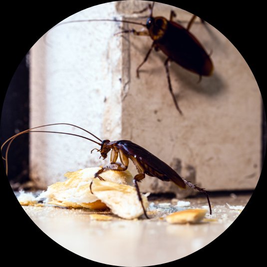 angelo_d31607's tweet photo. https://t.co/r0OpVU7aP6