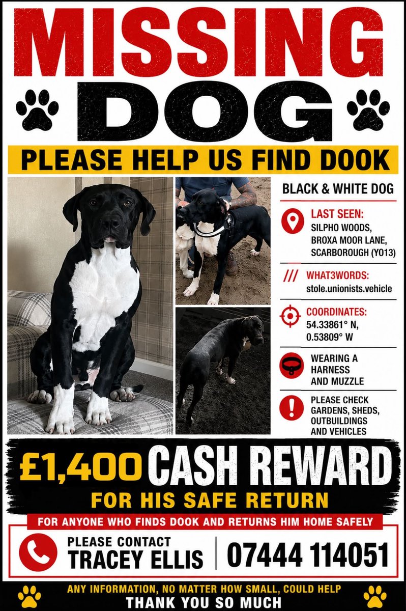 MissingPetsGB tweet picture
