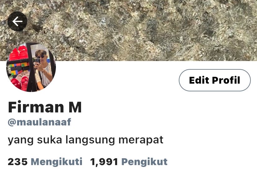 pina tweet media
