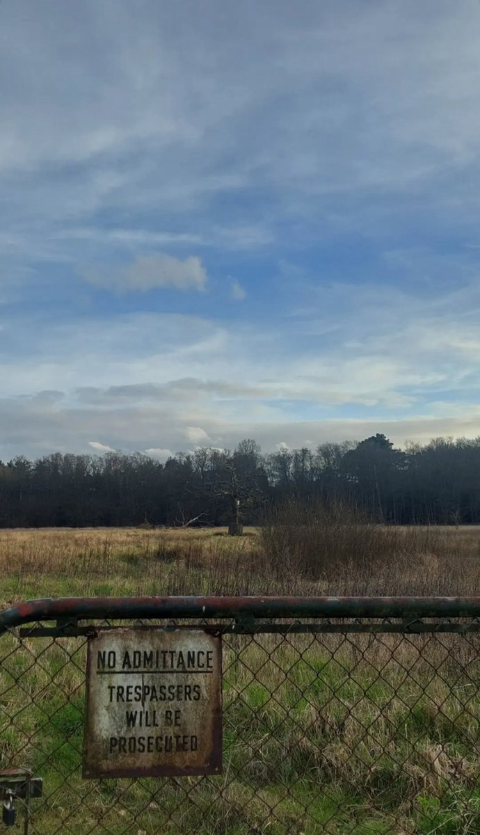 Jiaaaaakh's tweet photo. Longing for surrey https://t.co/MSEUXIixjI