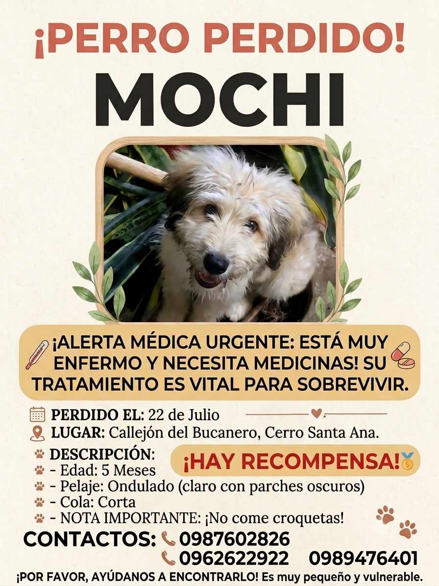 mochi