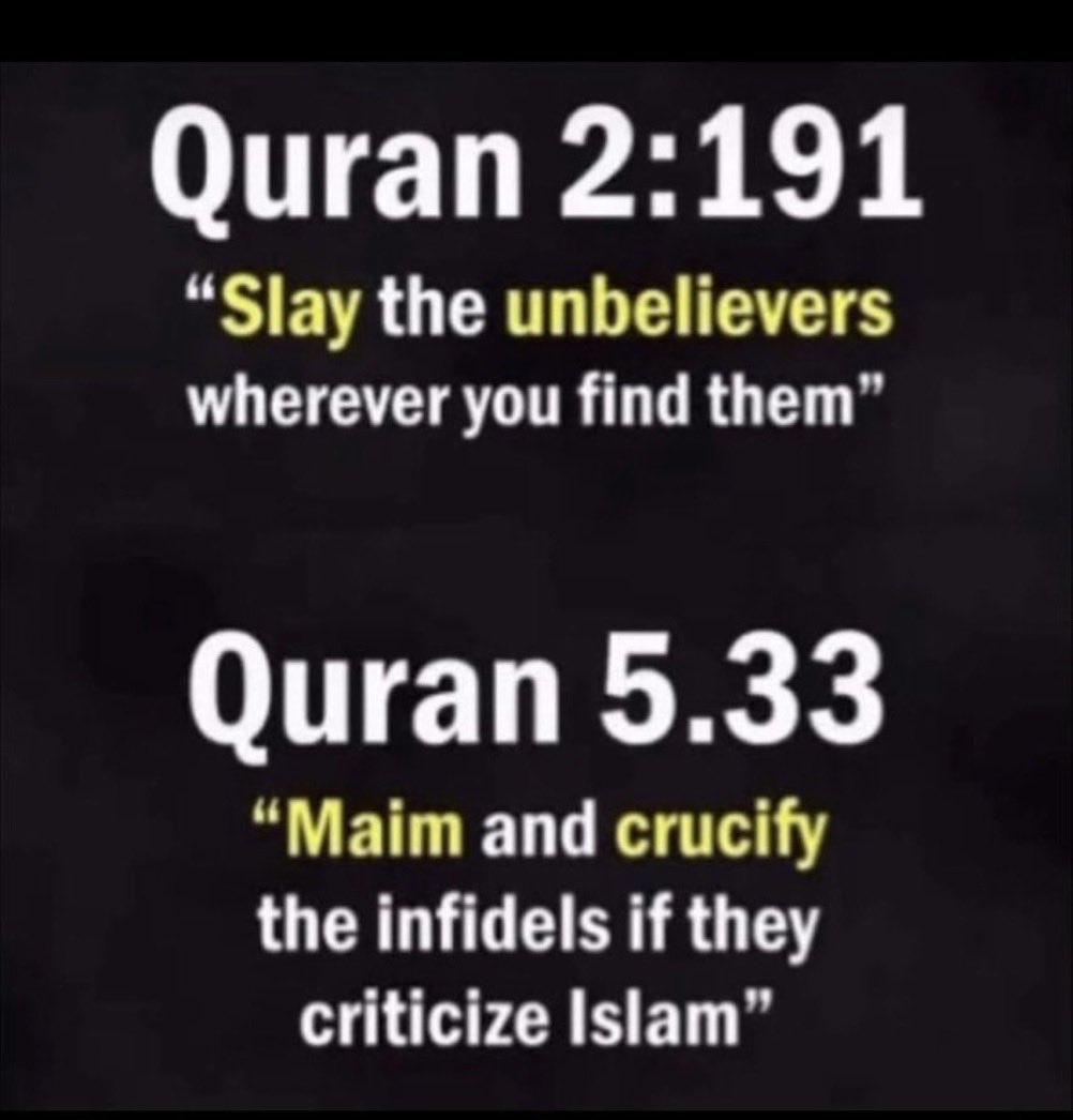 MsAvaArmstrong's tweet photo. Get Muslims out of America—- the sooner the better. https://t.co/mQmOgEoppf